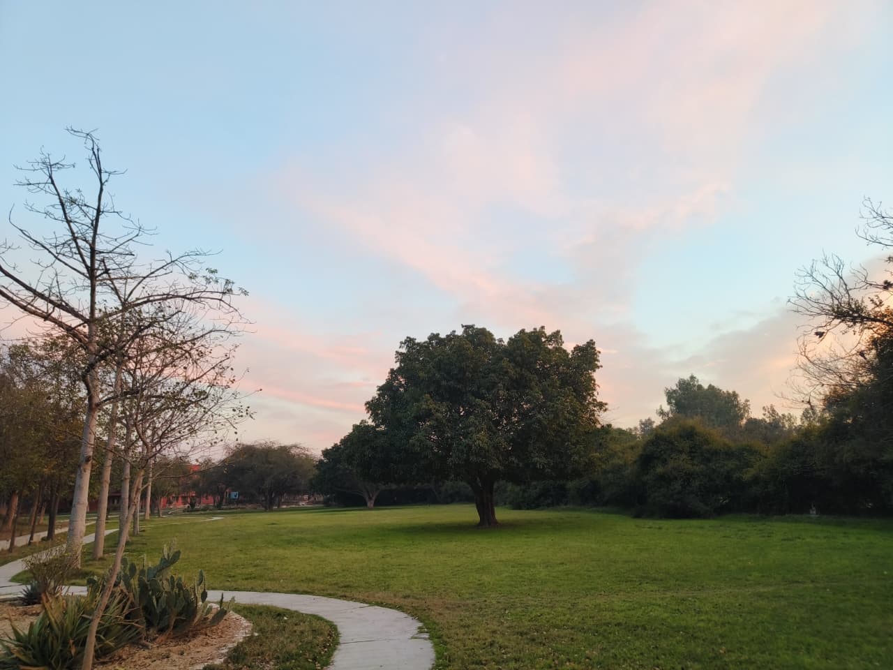 SLIET Campus photo 13